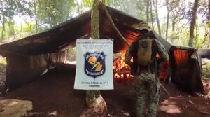 Destruyen cerca de 21 mil kilos de plantaciones de marihuana en un inmueble rural de Cerro Corá