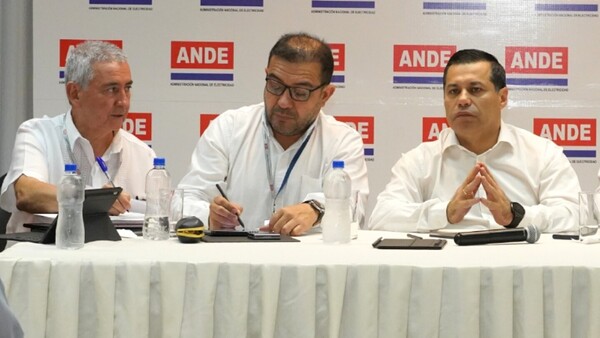 ANDE está preparada para soportar carga de 8.000 MW