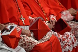 Vaticano: cardenales electores quedan en 130 y con el menor número de italianos de la historia - Mundo - ABC Color