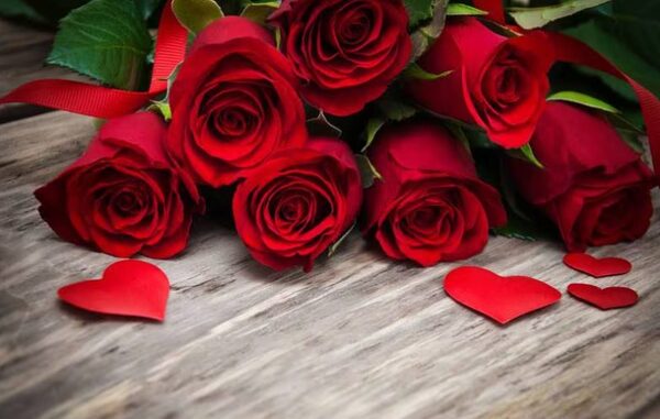 ¿Rosas para san Valentín? Descubre el significado que esconde cada color | Telefuturo