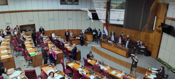 Senado sin quórum para tratar pérdida de investidura de Kattya González - Unicanal