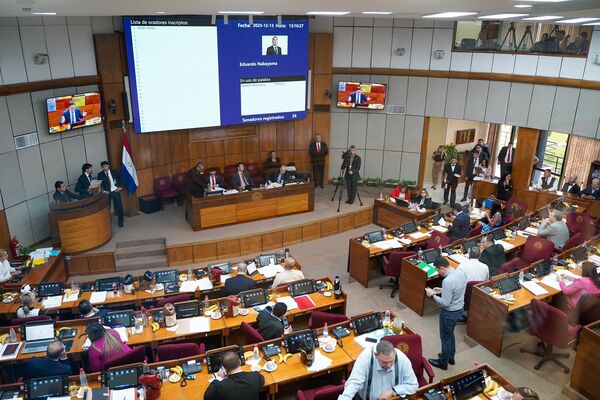Cartistas no logran quórum para expulsar a la senadora Kattya González