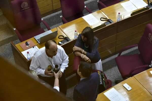 Congresistas suplentes no son legítimos porque la gente no los votó, resaltó senadora Celeste Amarilla - Política - ABC Color
