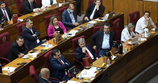 La Nación / Senado se constituye en comisión para tratar pérdida de investidura de Kattya González