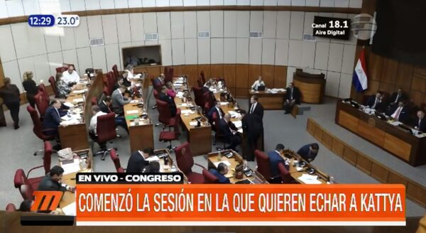 Cartistas buscan pérdida de investidura de Kattya González | Telefuturo