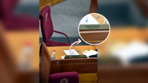 Cartismo consuma golpe: Expulsan a Kattya González del Senado