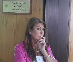 Colorados fueron extorsionados para votar en contra de su voluntad, denuncia Celeste Amarilla - Política - ABC Color