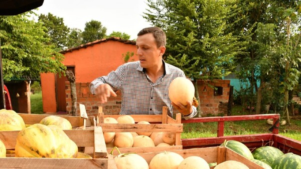 Siembra melones y sandías fuera de época usando el polen de las abejas