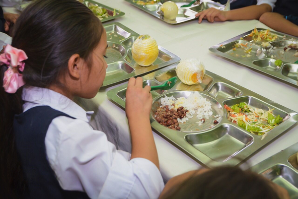 Nueve empresas disputan por provisión de almuerzo escolar en el Alto Paraná - La Clave