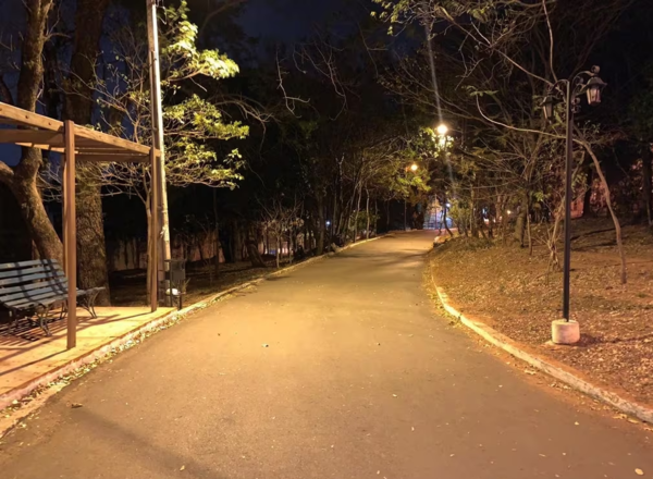 Cuatro detenidos por asalto en el parque Carlos Antonio López