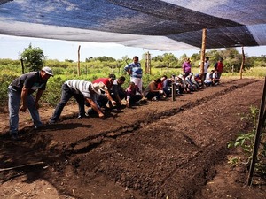 Lluvia trajo alivio al sector productivo en Ñeembucú | RADIO NACIONAL