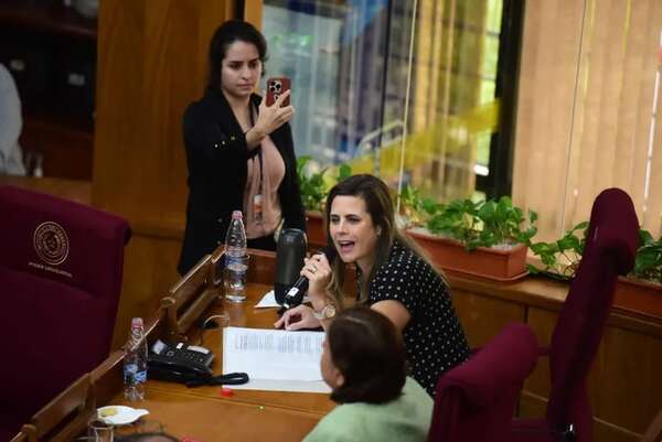 Decisiones arbitrarias generan desconfianza de calificadoras y inversores, advierten - Economía - ABC Color