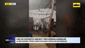 Video: Cae un supuesto abigeo y recuperan animales  - ABC Noticias - ABC Color