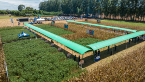 Vitrina Diagro: Agricultores se nutrieron de las nuevas soluciones agrícolas para la soja y el maíz