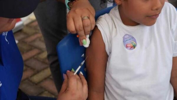 Escueleros deben tener estas vacunas al día