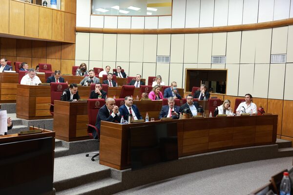 Poco apego a la institucionalidad, el principal impedimento para lograr grado de inversión - Megacadena - Diario Digital