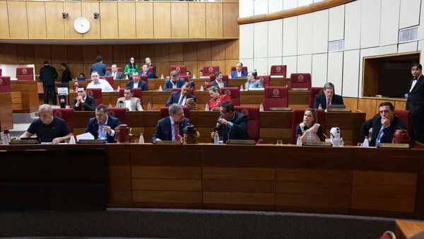 Senado posterga estudio de ley antinepotismo y de carrera civil
