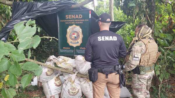 SENAD detecta carga de marihuana en Reserva Morombi | RADIO NACIONAL