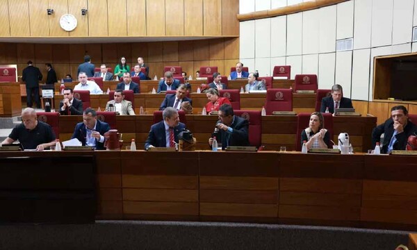 Senado posterga estudio de ley antinepotismo y de carrera civil – Prensa 5
