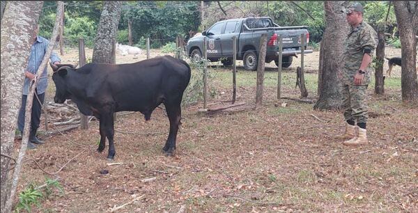 RECUPERARON UN ANIMAL ROBADO EN SANTA BÁRBARA