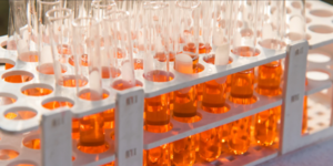 Que es el Suero Fetal Bovino? Una Herramienta Esencial en la Investigación Científica