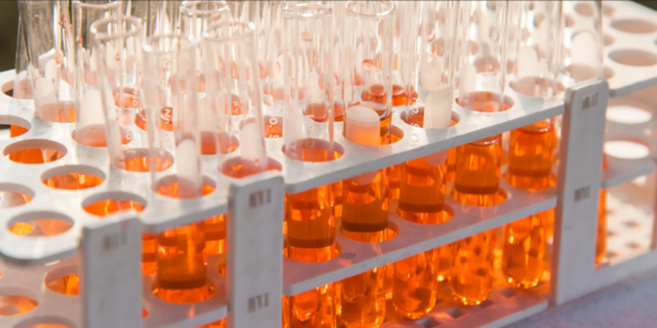 Que es el Suero Fetal Bovino? Una Herramienta Esencial en la Investigación Científica