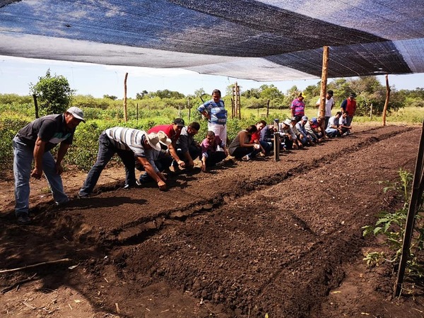 Lluvia trajo alivio al sector productivo en Ñeembucú