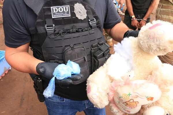 Video: microtraficantes utilizaron un peluche para esconder droga - Policiales - ABC Color