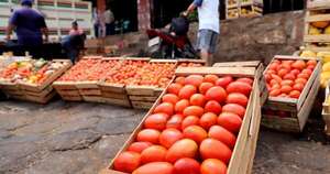 Diario HOY | Tomate de contrabando fulmina a productores: MAG buscará cubrir demanda todo el año