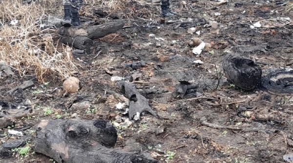 Hallan restos óseos humanos en la Costanera Sur de Asunción