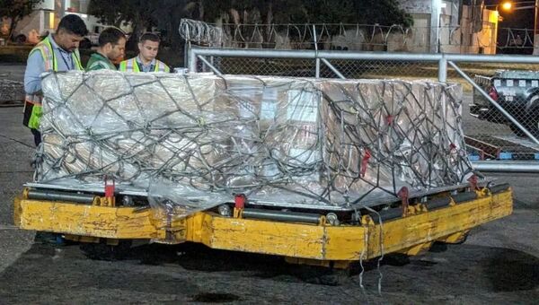 Paraguay concretó primera exportación de suero fetal bovino a Gran Bretaña (muy requerido en mercado externo)