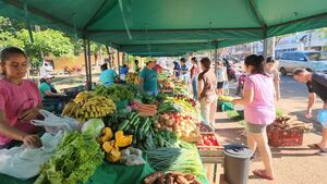 Feriantes aún esperan respuesta para utilizar predio de COPACO