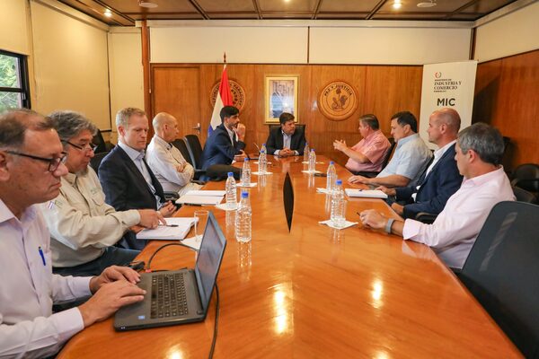 Sector maderero presenta plan de desarrollo forestal y apunta a exportar por más de USD 100 millones - MarketData