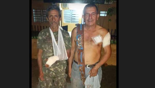 Atacados por jaguareté fueron salvados por dos perritos: "fueron muy valientes"