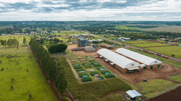 Materiales de soja y maíz con mayor adaptación al norte del país se exhibieron en la jornada de campo de Agrotec