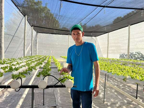 Internos cultivan lechugas hidropónicas para su reinserción social y generación de ingresos
