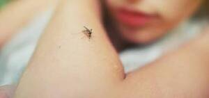 ¡Terrible! Pequeña de 9 años falleció a causa del dengue