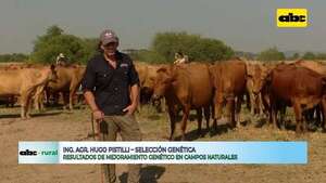 Video: resultado del mejoramiento genético en vacas primerizas tipo Brangus - ABC Rural - ABC Color
