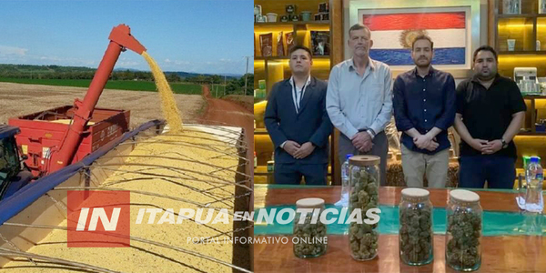 EXPLORAN NUEVAS ALTERNATIVAS DE PRODUCCIÓN PARA EL DEPARTAMENTO DE ITAPÚA - Itapúa Noticias