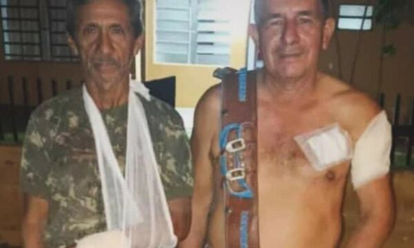 Hombres fueron atacados por un yaguareté y fueron salvados por sus perros