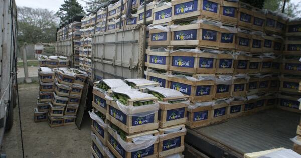 La Nación / Acercamiento Milei-Peña genera primeros resultados con pagos a bananeros