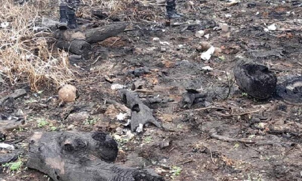 Caso Alexis Sosa: Fiscalía ordena estudio de la dentadura hallada en la Costanera Sur – Prensa 5