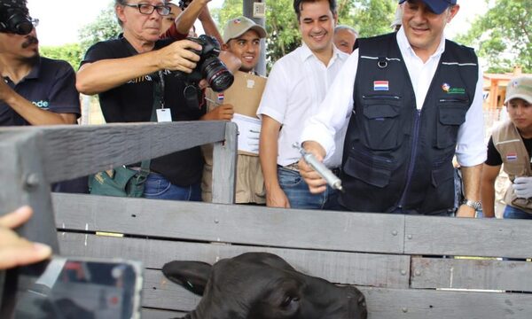 Lanzan campaña de vacunación contra aftosa