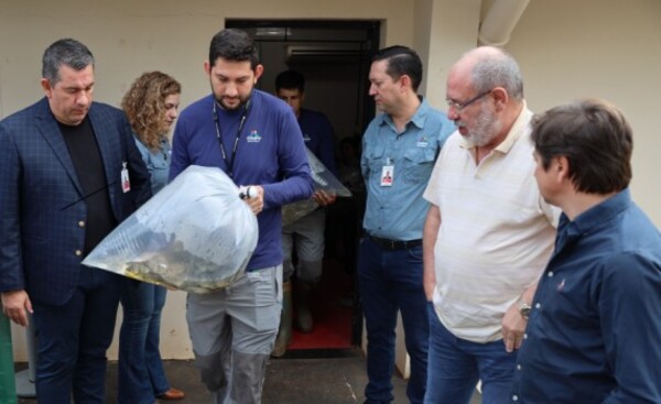 Entregan 3.000 alevines a la Municipalidad de San Alberto