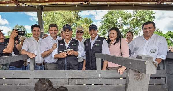 La Nación / El lunes iniciará el primer periodo de vacunación contra la fiebre aftosa