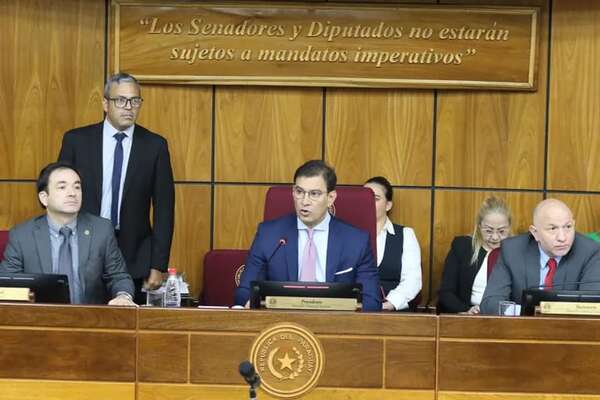 Beto Ovelar debe renunciar y la expulsión de Kattya es nula, afirma constitucionalista - Política - ABC Color