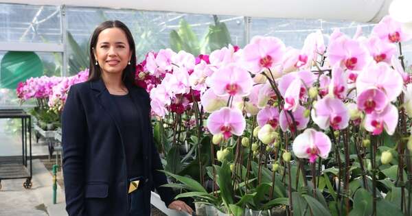 La Nación / Floricultura del Paraguay consolida su liderazgo en el mercado local