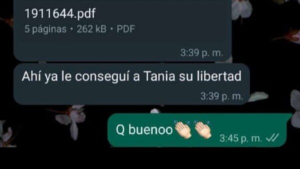 Diputado habría influenciado para liberar a presunta narco