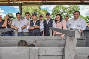 El lunes iniciará el primer periodo de vacunación contra la fiebre aftosa