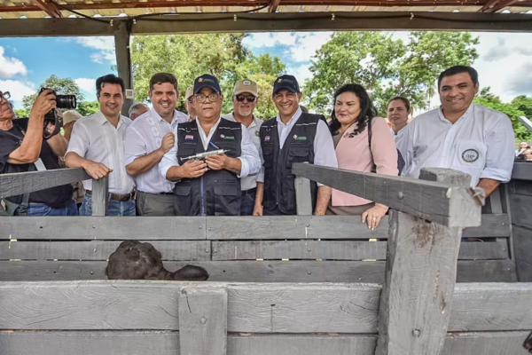 El lunes iniciará el primer periodo de vacunación contra la fiebre aftosa